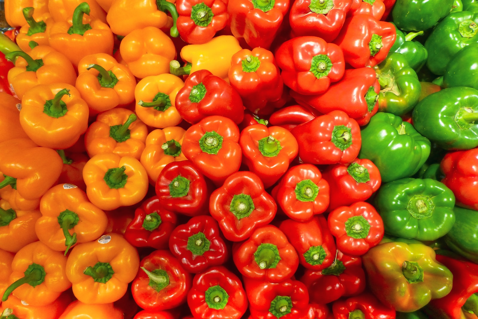 <strong>5 easy to grow vegetables for beginners</strong>