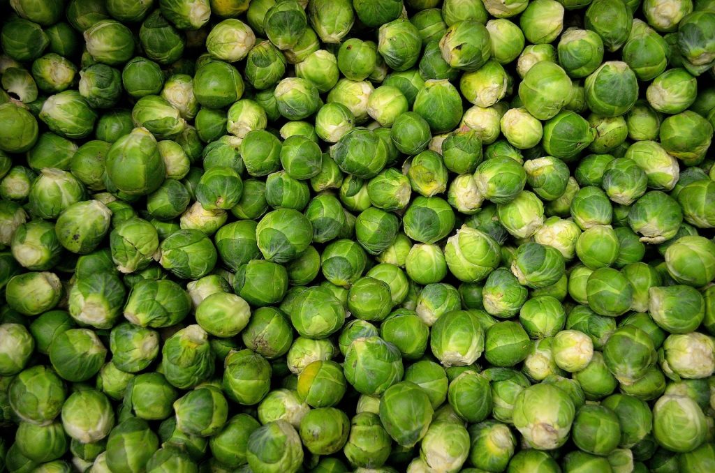 Nurture Your Brussels Sprouts – a Beginner&#8217;s Guide