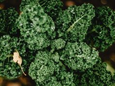 Broccoli Raab