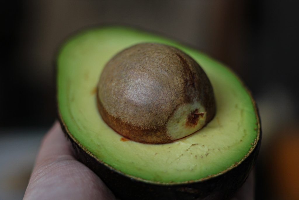How to Plant and Nurture Your Avocado Tree