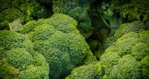 Reap the Benefits of Broccoli: Learn How to Plant and Care! Broccoli