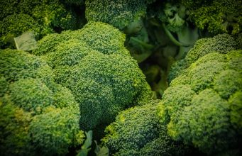 Reap the Benefits of Broccoli: Learn How to Plant and Care! News
