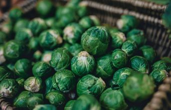 Nurture Your Brussels Sprouts – a Beginner’s Guide News