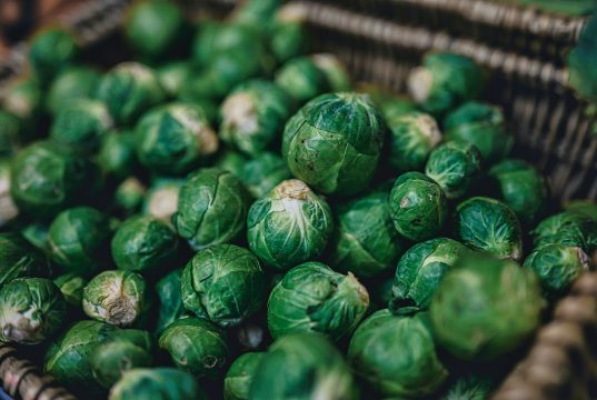 Nurture Your Brussels Sprouts – a Beginner’s Guide Brussels Sprouts