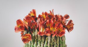 Asparagus