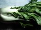 Let’s Plant, Nourish and Grow Bok Choy! News