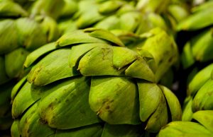 Grow Artichokes – It’s Easier than You Think! green flowers