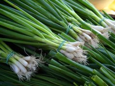 green onion vs chives