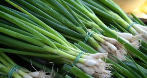 Green onion vs chives green onion vs chives