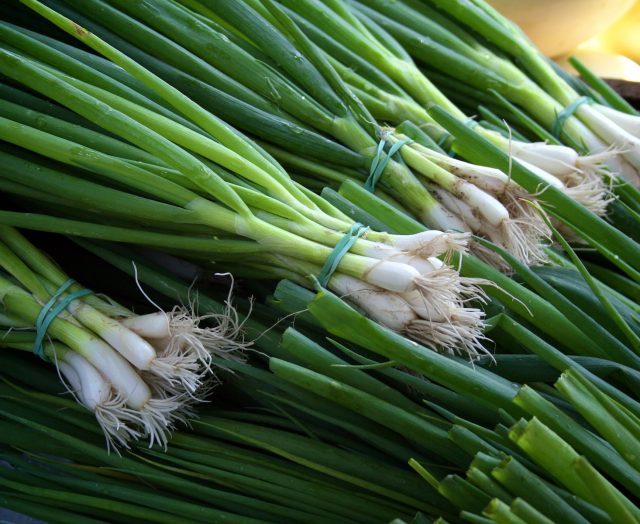 green onion vs chives