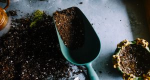 Garden Soil: Understanding Soil Types and How to Improve Your Garden’s Soil