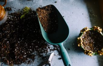 Garden Soil: Understanding Soil Types and How to Improve Your Garden’s Soil News