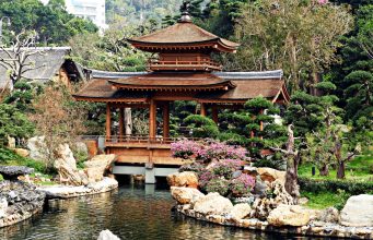Chinese garden News