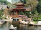 Chinese garden News