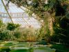 Discover the Magic in Queens’ Botanical Gardens News