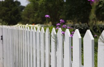 Garden Fences: How to Create Privacy and Security in Your Garden News
