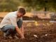 Garden Maintenance: A Guide to Keeping Your Garden Looking Great News