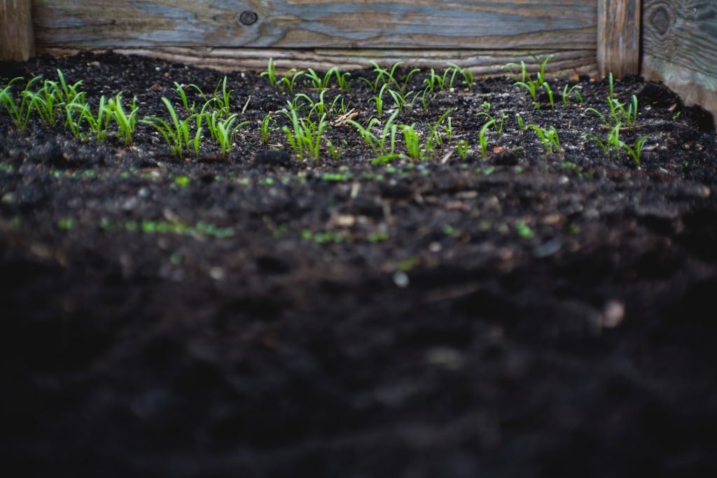 Garden Composting: How to Create Rich and Fertile Soil for Your Garden