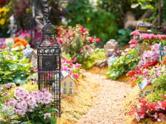 Garden Plants: How to Choose the Right Plants for Your Garden