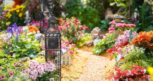 Garden Plants: How to Choose the Right Plants for Your Garden