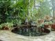 Designing a Garden Pond: Tips and Tricks for a Beautiful Water Feature News