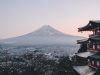 The Ultimate Guide to Budget Travel in Japan News