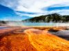 Must-See Destinations in the USA: A Guide for First-Time Visitors News