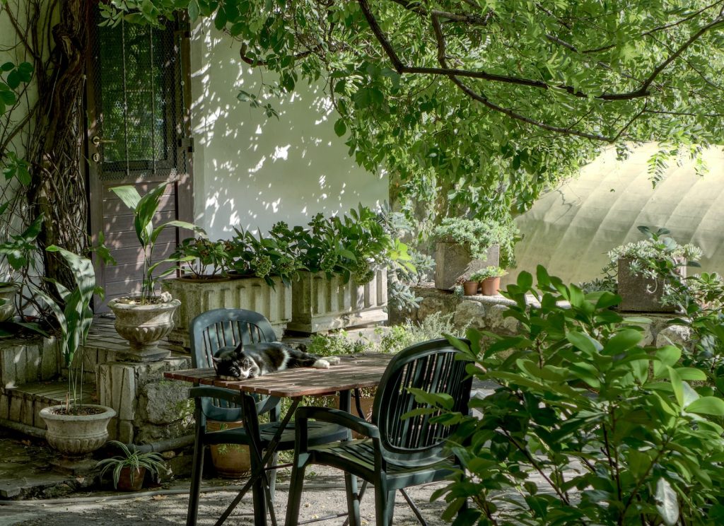 Garden Maintenance: A Guide to Keeping Your Garden Looking Great
