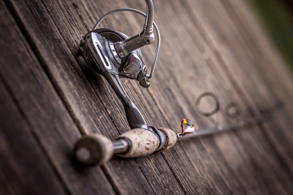 Catch of the Day: A Beginner&#8217;s Guide to Surf Fishing in Saltwater