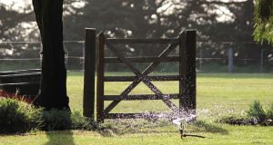 Garden Irrigation: How to Keep Your Garden Hydrated