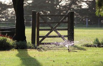 Garden Irrigation: How to Keep Your Garden Hydrated News