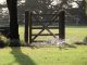 Garden Irrigation: How to Keep Your Garden Hydrated News