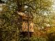 How to Build a Treehouse: A Guide for Beginners News