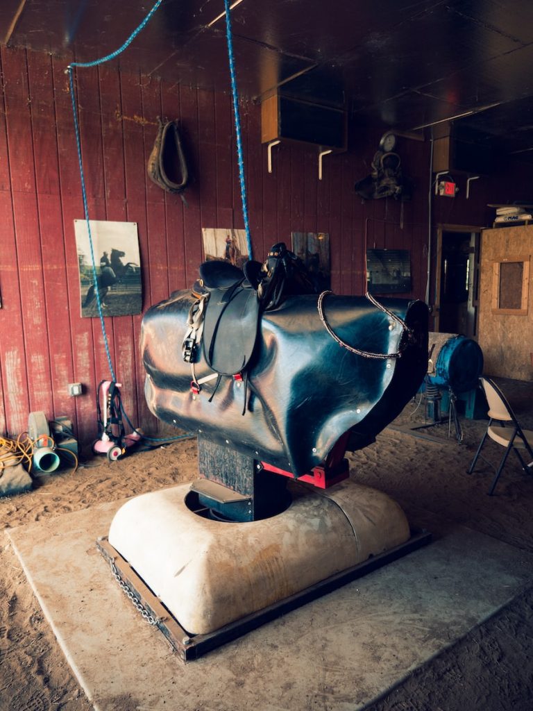 The Thrill of Bull Riding: A Beginner’s Guide