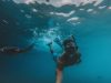 Discover Underwater Wonders – Beginner’s Guide to Snorkeling News