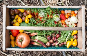 Gardening for Health: How to Grow Your Own Food News