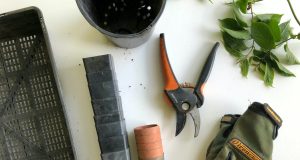 Gardening Tools: Essential Equipment for Every Gardener